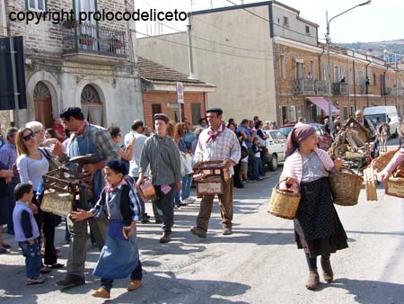 cavalcata 2011_26
