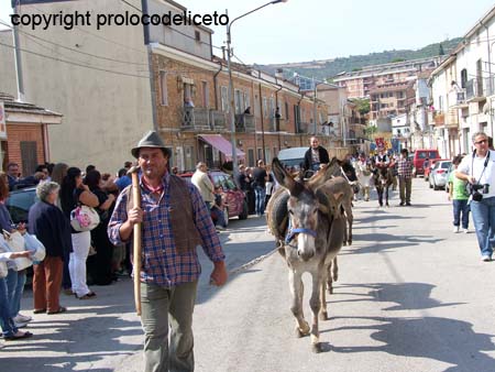 cavalcata 2011_28