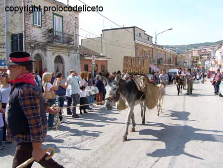 cavalcata 2011_30