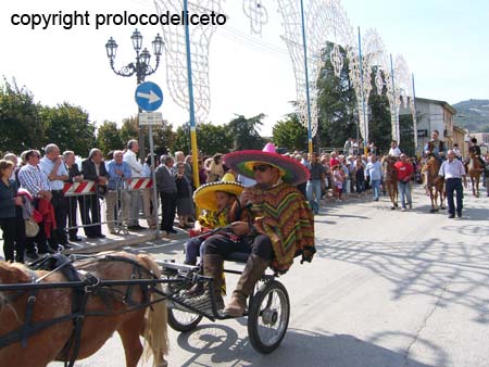 cavalcata 2011_43