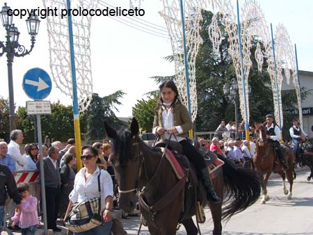 cavalcata 2011_45