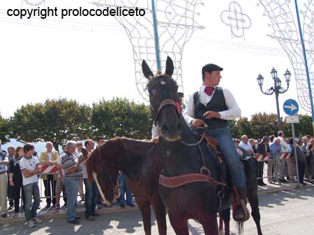 cavalcata 2011_46