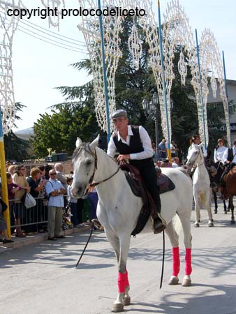 cavalcata 2011_51