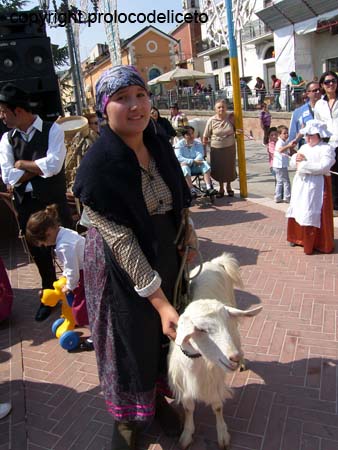 cavalcata 2011_65