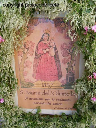 cavalcata 2011_quadro olmitello