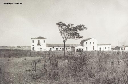 Masseria Barone 1970