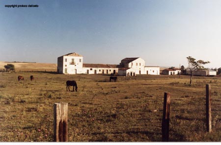 Masseria Barone 1985