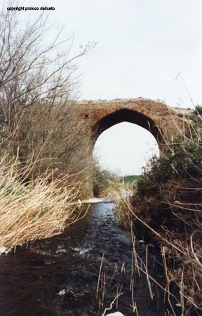Ponte Romano Risega