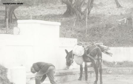 cinque fontane