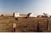 Masseria Barone 1985